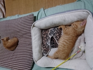 20190801_170722.jpg